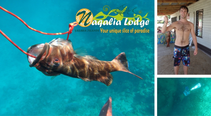 https://www.naqalialodge-fijiresort.com spearfishing 