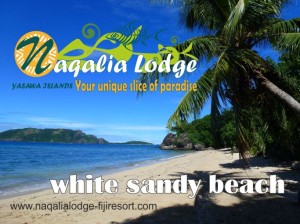 octopus resort waya, manta ray,barefoot islands.
