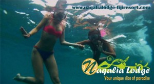 shorkeling fiji - octopus resort - yasawa islands