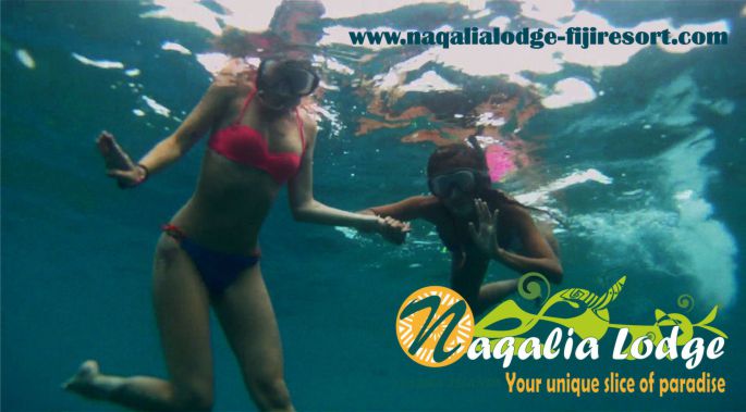 naqalialodge-fijiresort - octopus resort - fiji - yasawa islands - 