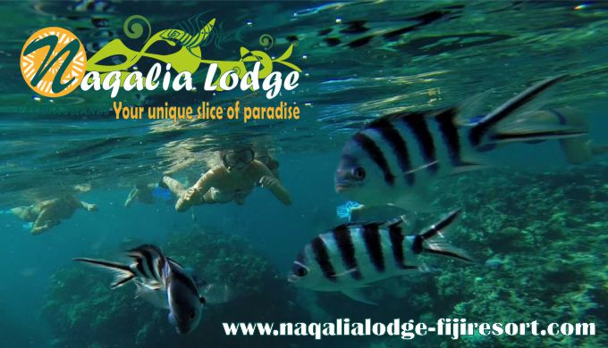 Snorkeling-Yasawa-islands-Wayalailai-Fiji-resort-Naqalia-Lodge