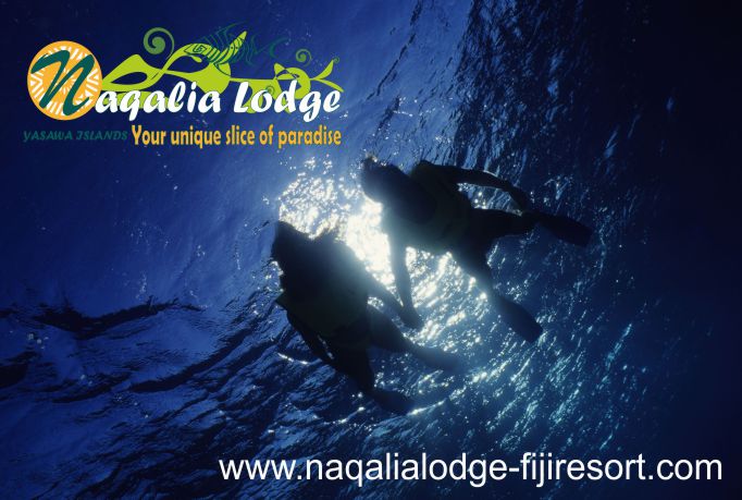 https://www.naqalialodge-fijiresort.com-scuba diving-Fiji-Mantaray resort-Naqalia Lodge-Wayalailai island