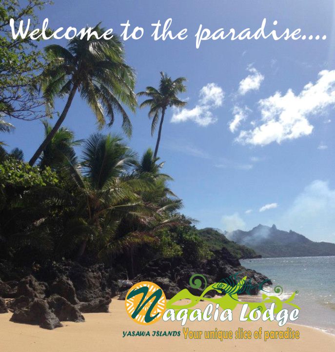 https://www.naqalialodge-fijiresort.com/wp-content/uploads/2014/07/NAQALIA-Lodge-shooting-star-Fiji-resort-Octopus-resort-Wayalailai.jpg