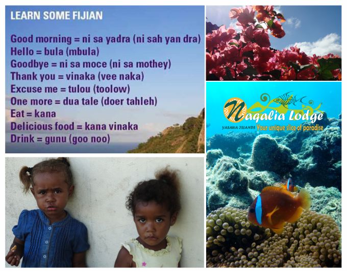 https://www.naqalialodge-fijiresort.com/wp-content/uploads/2014/08/learn-fijian-Naqalia-Lodge-Fiji-resort-Yasawa-islands-Octopus-resort.jpg